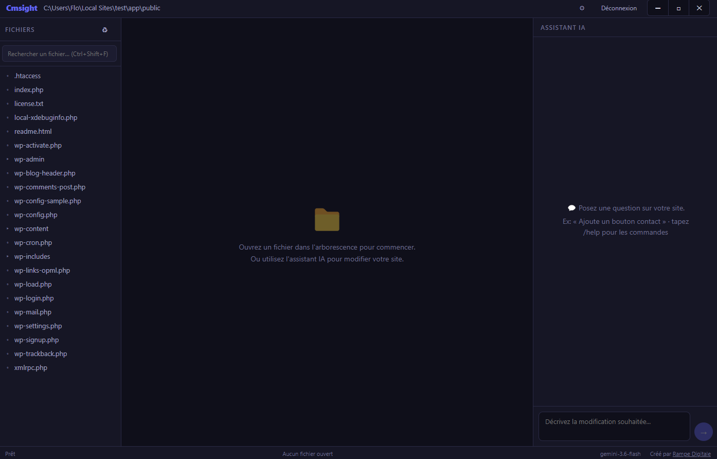 Explorateur de fichiers et assistant IA dans Cmsight